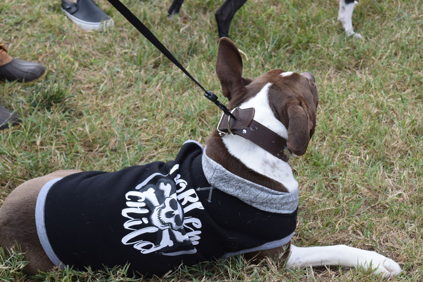 Hoppin Oct. 21 (109).JPG